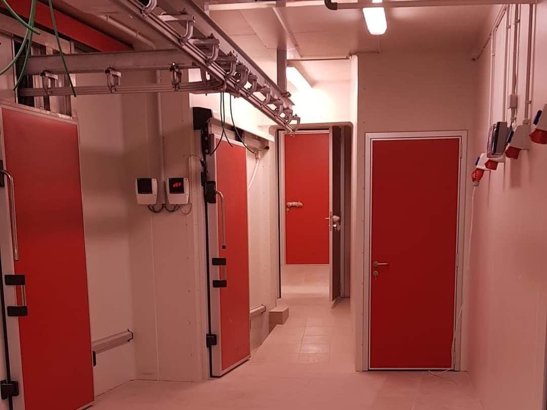 Ψυκτικοί θάλαμοι σε κρεοπωλείο